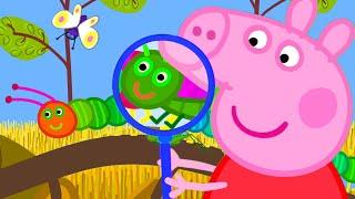 Tantos insetos! | Peppa Pig Portuguese Brazil Episódios completos