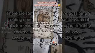 #333 #tarot CAUTION with your personal business. #clearchannel333 #collectiveupdate #fortunetelling