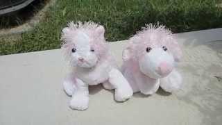 Comparing the Pink and White Dog and the Pink and White Cat