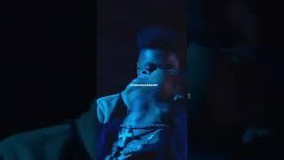 Crazy In Love  #viral #shaderoom #musicvideo #viralvideo #blueface #chriseanrock #chrisean #love