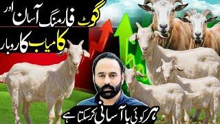 Goat Farming asaan aur kamyab karobar | goat farming |