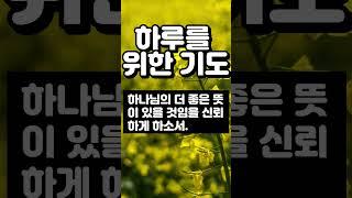 하루를 위한 기도 ㅣ 하루의 기도 ㅣ 오늘의 기도 ㅣ 기도쇼츠 ㅣ 기도문 ㅣ 1분기도 ㅣ 아침기도