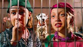 The Dog Rescue | COMEDY, FAMILY | Full Movie in English