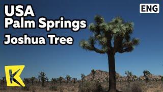 【K】USA Travel-Palm Springs[미국 여행-팜스프링스]사막의 나침반, 조슈아 트리/Joshua Tree/National Park/Low Desert