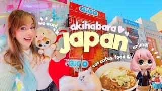 NON-STOP NERDY FUN IN TOKYO  Exploring Akihabara Electric Town! The ULTIMATE Anime & Gaming City!