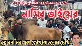 গাবতলীর নাসির বেপারীর কোরবানির গরু কোথায়|বিক্রি হয়ে গেল নাসির ভাইয়ের ৩৫০ টি গরু|গাবতলী গরুর হাট২০২৪