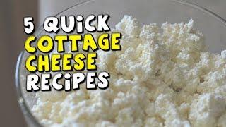 5 Quick Cottage Cheese Recipes