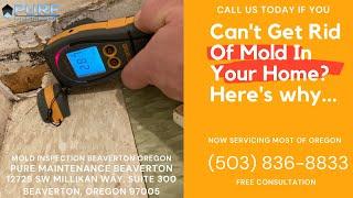 Mold Inspection Beaverton Oregon - Pure Maintenance Beaverton - 503-836-8833