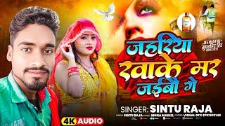 #Video l जहरिया खाके मर जइबो  गे #Sintu  Raja #said  हिट मगही साइड Song | Jahariya Khake Mar Jaibo