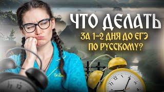 Что делать за 1-2 дня до ЕГЭ 2025 по русскому языку?
