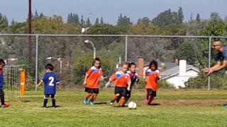 AC Brea Girls Boys AYSO U5 Soccer Game 4 yr 5 yr old match philomena JUSA Soccer Pre-K Kindergarten