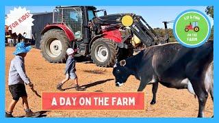 A Day on the Farm: Feeding Cows , Bulls  & Kayaking on the Lake ‍️ | Kids Farm Fun 