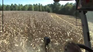 Kentucky Farm Bureau Outstanding Young Farm Family