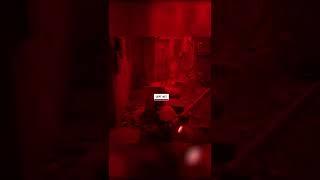 Безопасная Зона в Stray! Нападение Зурков!