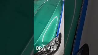 전체랩핑의 스타트 본넷트! #bravado #랩핑 #ppf