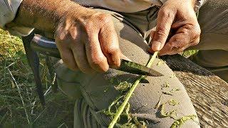 How To Make Natural Cordage From Bramble