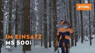 STIHL MS 500i Motorsäge im Forsteinsatz