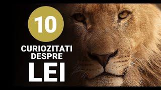 10 Curiozitati Interesante despre Lei - Informatii despre Leu