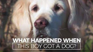 What Happened When this Autistic Boy Got a Dog?