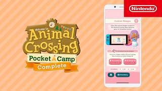 Animal Crossing: Pocket Camp Complete – Introducing Importing Custom Designs