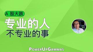 中国 A 股大跌，专业的人和不专业的事——SAM 给你讲几件事，你会有启发！