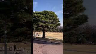 #청와대 #청와대예약하는법 #청와대견학 #청와대볼거리 #서울종로아이와가볼만한곳 #종로구가볼만한곳 #청와대춘추관 #청와대영빈관 #서울주말가볼만한곳 #좋아요 #팔로우 #맞팔 #구독