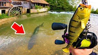 Ce vieux moulin de 200 ans n'est jamais pêché et ça cache des grosses surprises !! (pêche au leurre)