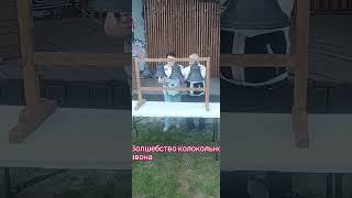 мы в дуэте...