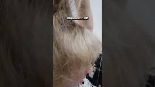 АРХИВНАЯ ЗАПИСЬ .Я ИДУ ЗА НОВЫМ РЕЗУЛЬТАТОМ, КТО ХОЧЕТ СО МНОЙ СТАВЬ +