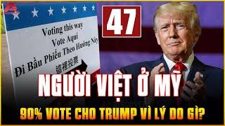 NGƯỜI VIỆT Ở MỸ giơ 2 tay ủng hộ ông Trump: 5 LÝ DO CỰC KỲ THUYẾT PHỤC | AP Discovery