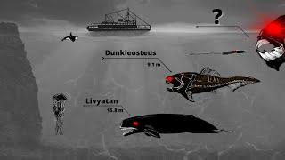 Largest Sea Creatures | Size Comparison