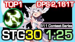 [S11 TOP1] Silver Hunter STG30 1:25 Rotation / DPS 2,161 Trillion / Dragon Nest China