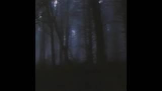 暗い自然 : The Dark Forest 最も暗い夜