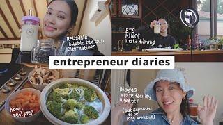 Entrepreneur Diaries | music flash cards draft, biogas waste facility | meal prep, reusable boba cup