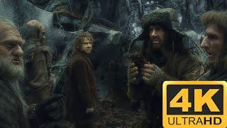 Mirkwood | The Hobbit - The Desolation of Smaug 4K HDR