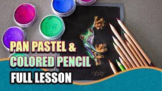 Full Art Lesson! Drawing a Red Eyed Tree Frog w/ Pan Pastels & Colored Pencil
