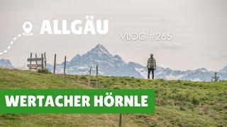 Fantastische Bergtour im Allgäu: Wertacher Hörnle 1 695m via Buchelalpe | VLOG #265 