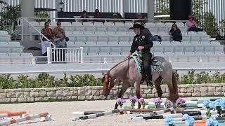 2024 Quarter Horse Congress Celeste North Friday - October 25, 2024