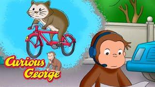 The Hamster Hunt!   Full Episodes  Curious George  Kids Cartoon  Kids Movies