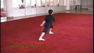 Nanquan Jibengong (2000 Training @ Guangdong)