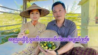 အညာတို့ရဲ့ရာသီစာ ကဆစ်သီး ဟင်းချက်နည်း