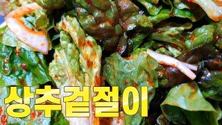 5분이면 완성 상추겉절이 맛있게 무치는 방법 알려드립니다