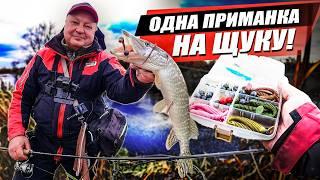 Як легко знайти щуку на річці. Щука на спінінг Crazy Fish Arion 862MLS