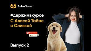 #держимвкурсе 2 ВЫПУСК | ЕГЭ подготовка | Bubo Unicus