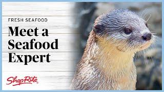 The Seafood Experts - An Otter | ShopRite Grocery Stores