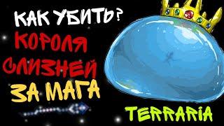 КАК УБИТЬ КОРОЛЯ СЛИЗНЕЙ ЗА МАГА (мастер мод) (terraria)