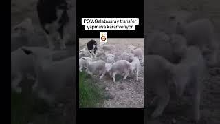 Gs transferde acele mi etmiyor? Önünde engel mi var?