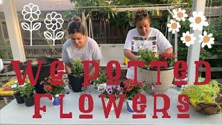 We Potted Flowers!! | Crystal Bermudez