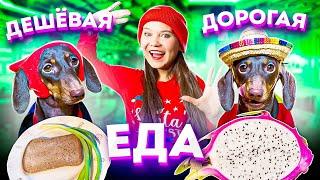 ДОРОГАЯ VS ДЕШЕВАЯ ЕДА II ЧТО ПОНРАВИТСЯ  БОЛЬШЕ?