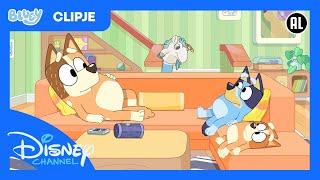 Bluey Minisodes | Muziekbox | Disney Channel België-Nederland